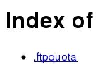 Index of /