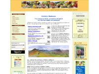 holistic-wellness-basics.com holistic wellness,natural health, health and wellness