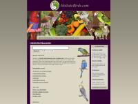 HolisticBird Newsletter HolisticBird Newsletter