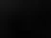 Offical Hollist Familiy Web-Site