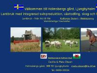 holmsberg.se Kulltorps Stuteri - Welshponny, Stall Neo - Varmblodiga travhästar, Till Salu holmsberg.se Kulltorps Stuteri - Welshponny, Stall Neo - Varmblodiga travhästar, Till Salu