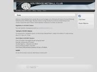 holyroodnetball.co.uk Design by PMAITC Ltd