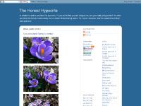 honesthypocrite.blogspot.com 7:41 PM, 8:05 AM, Baseball fan with HOMERUN license plate honesthypocrite.blogspot.com 7:41 PM, 8:05 AM, Baseball fan with HOMERUN license plate