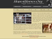 Hope4Horses.org Hope4Horses.org