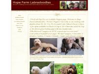  Past Litters, Links, building a website