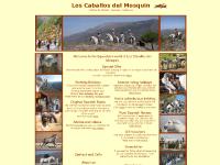 Riding holiday Spain. Horseback holiday riding Andalusia. Equestrian Trailriding Center