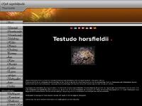www.horsfieldii.com www.horsfieldii.com