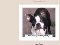 liten houstonbostonrescue.org skärmbild liten houstonbostonrescue.org skärmbild