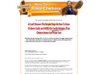 How To Raise Chickens | The Essential Beginner's Guide to Raising Chickens | Homepage How To Raise Chickens | The Essential Beginner's Guide to Raising Chickens | Homepage