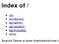 How To Train A Horse|Horse Training How To Train A Horse|Horse Training