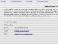 liten hr-consulting.se skärmbild