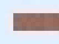 Välkommen till Hudiksvalls kennelklubb