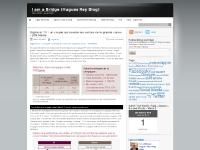 I am a Bridge (Hugues Rey Blog) | Talent Imitate, Genius Steal …