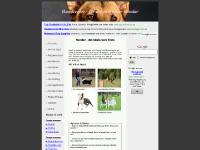 statistik för hundcenter  statistik för hundcenter