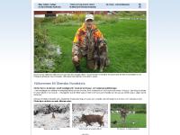 Ökersbo Hundskola - hunddressyr, vildsvinshägn, harhägn, problemhund, hund, hare, vildsvin Ökersbo Hundskola - hunddressyr, vildsvinshägn, harhägn, problemhund, hund, hare, vildsvin