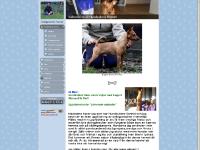  Dvärgpinschern, Planerade valpkullar, Födda valpkullar, Valparnas stamtavla