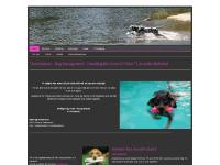 liten hundpoolarn.se skärmbild liten hundpoolarn.se skärmbild