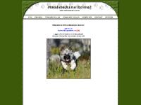 Hundsbackens kennel- Välkommna! Hundsbackens kennel- Välkommna!