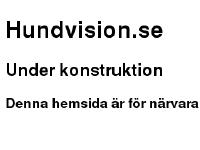 statistik för hundvision - Hundvision.se | Under konstruktion statistik för hundvision - Hundvision.se | Under konstruktion