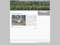 Cabelas Outfitter Series 9 Review, Clothes, Army Wool Pants, Gear  Cabelas Outfitter Series 9 Review, Clothes, Army Wool Pants, Gear