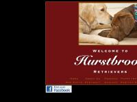 Hurstbrook Golden Retrievers and Chocolate Labradors Hurstbrook Golden Retrievers and Chocolate Labradors