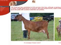 hurstpieranglonubians.co.uk hurstpieranglonubians.co.uk