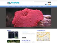 hurstvilleaquarium.com.au