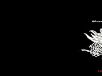 hushmusic.com.au beats kopfhorer, moncler jackets, links of london sale hushmusic.com.au beats kopfhorer, moncler jackets, links of london sale