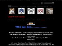 Huskies in Need - Home Huskies in Need - Home