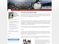 Husky Guide