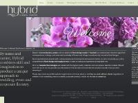 hybridflowers.co.uk how we work with our clients, Â contact us, Wagwan Design hybridflowers.co.uk how we work with our clients, Â contact us, Wagwan Design