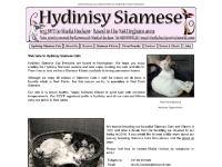Hydinisy Siamese Cats | Siamese Cat Breeders | Siamese Kittens For Sale | Sheila Hocken Hydinisy Siamese Cats | Siamese Cat Breeders | Siamese Kittens For Sale | Sheila Hocken