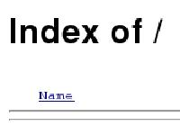 Index of /