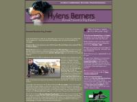 Bernese Mountain Dog Breeder, Bernese Breeder | Bernese Puppies for sale PA Pennsylvania