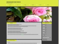 2011 Hyundai Accent - recent news, technical specifications, frequently asked questions, and a full summary of Hyundai Accent developments.