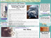 IBD Kitties - Feline Inflammatory Bowel Disease