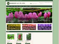 Bordervale Plants Bordervale Plants
