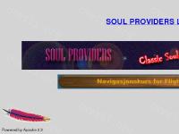 gå till webbplats gå till webbplats