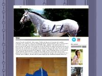 liten illes.se skärmbild