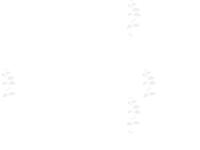 Imperial Homes Queensland:: THE Choice amongst Luxury Home Builders In Brisbane, Qld Imperial Homes Queensland:: THE Choice amongst Luxury Home Builders In Brisbane, Qld