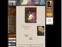 Nye bilder, Min gjestebok, MALERIER, AKVARELLER Nye bilder, Min gjestebok, MALERIER, AKVARELLER