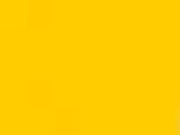 &nbsp;&nbsp;&nbsp; Indo-service