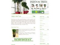 indoortrees.co.uk indoor trees, interior trees, large indoor trees