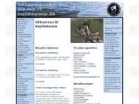 liten insjofiskare.se skärmbild liten insjofiskare.se skärmbild