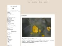 I N T A S Y - foto, tips och vardag ?