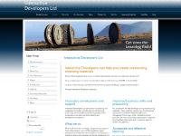 Interactive Developers Ltd Interactive Developers Ltd