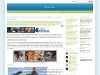 Iobst iView Iobst iView