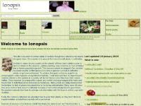  Upcoming Orchid Shows, Orchid Viruses, Picures from my collection, buy orchid baskets