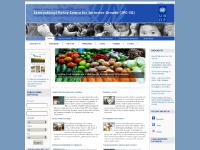 Social Protection, Development Innovations, Our work, Publications Social Protection, Development Innovations, Our work, Publications