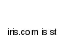 iris - Chii Consulting iris - Chii Consulting